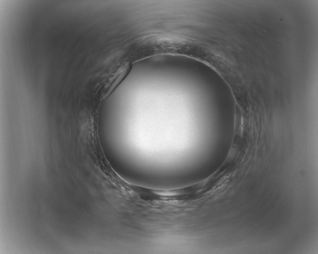 X0000067931061200604131417