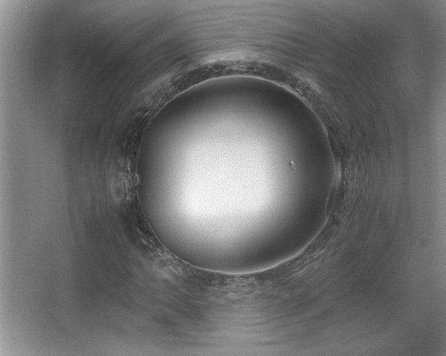 X0000067931062200604131417