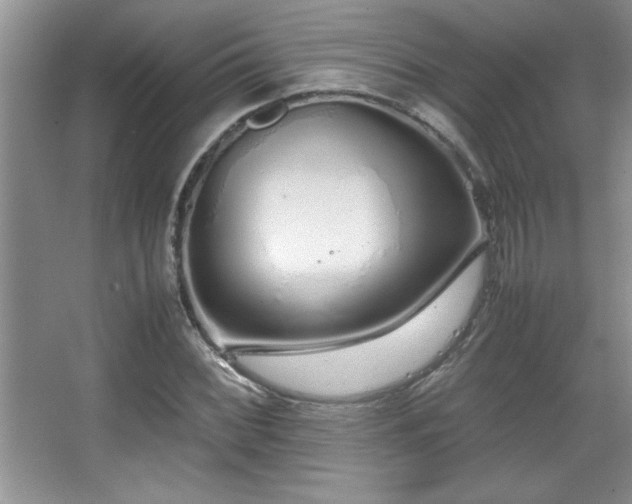 X0000067931068200604131417