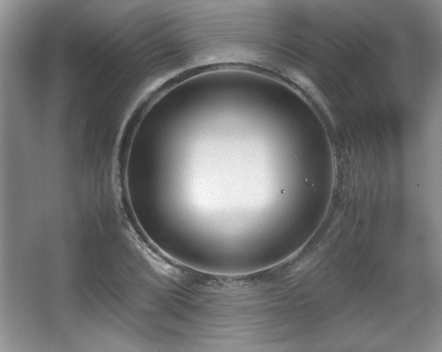X0000067931072200604131417