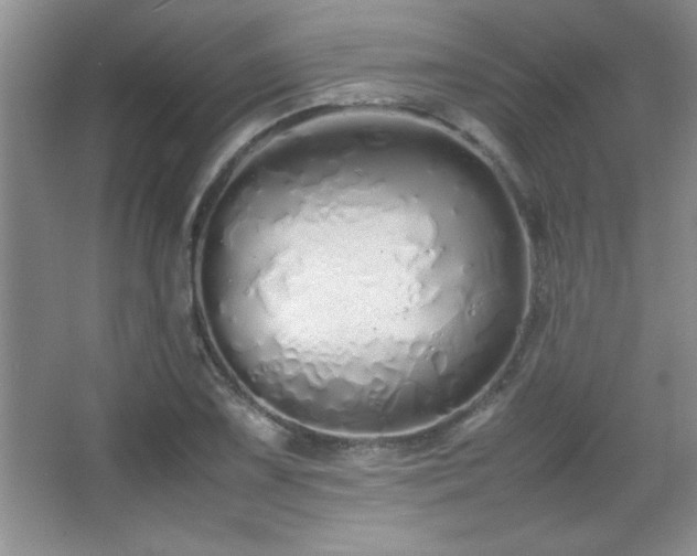 X0000067931075200604131416