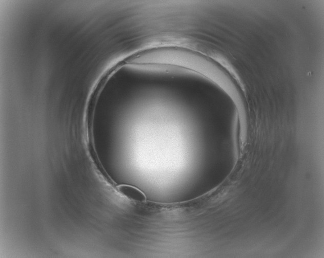 X0000067931080200604131416