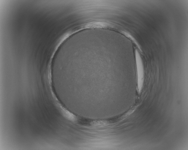 X0000067931083200604131416