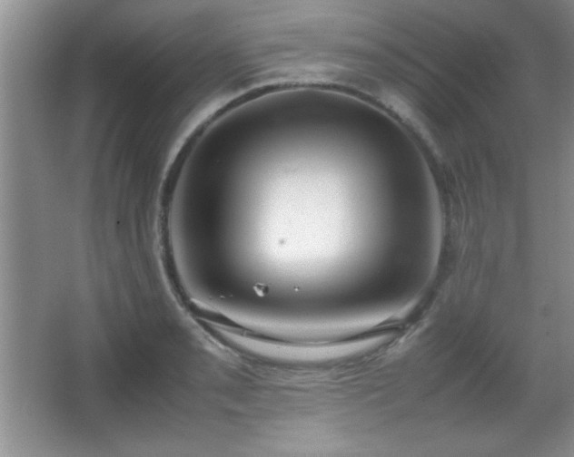 X0000067931085200604131416