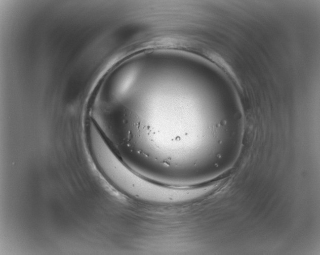 X0000067931091200604131416