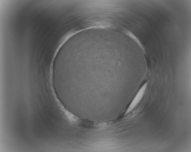 X0000067931099200604131416