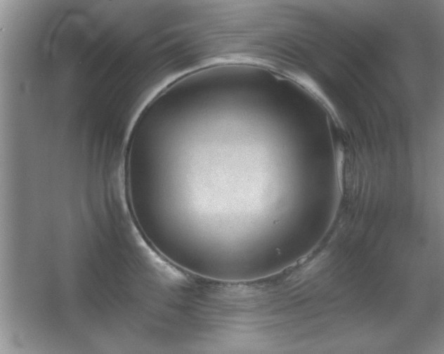 X0000067931100200604131416