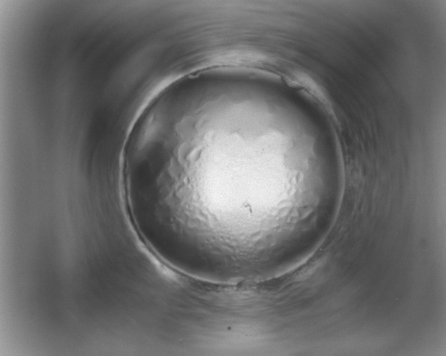 X0000067931103200604131416