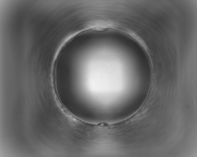 X0000067931104200604131416
