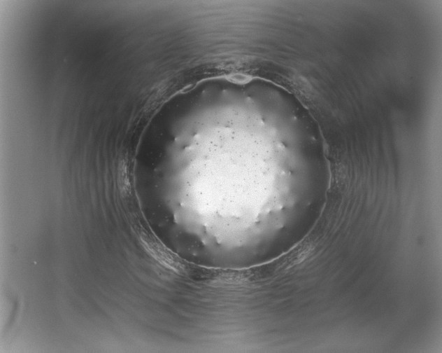 X0000067931106200604131415