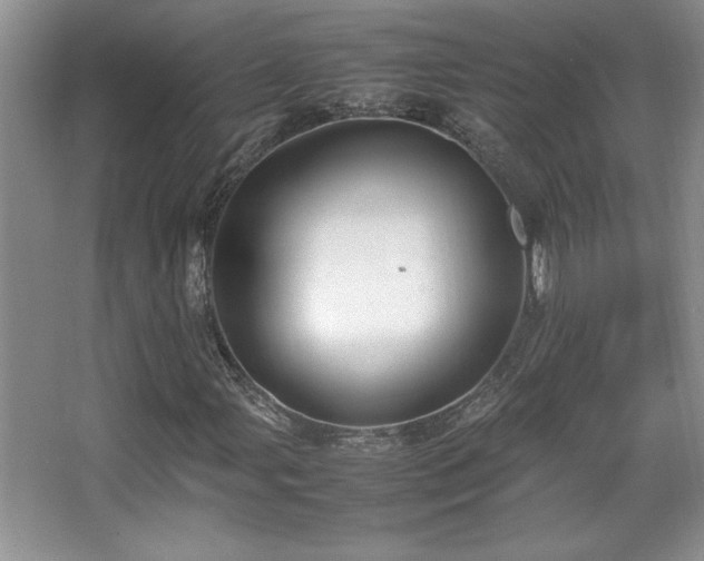 X0000067931107200604131415