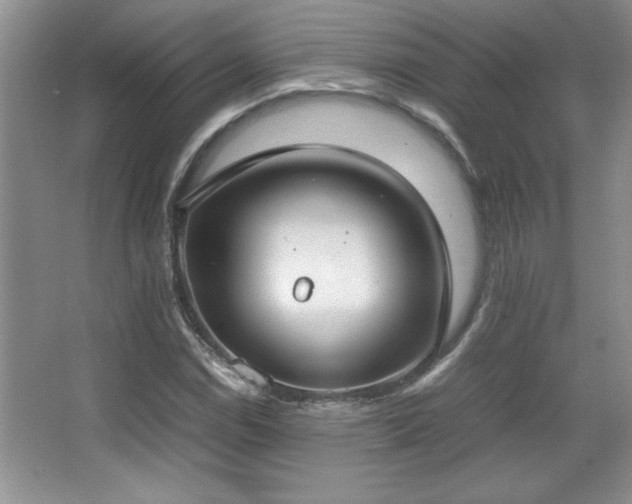 X0000067931114200604131415