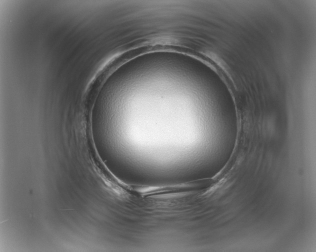 X0000067931115200604131415