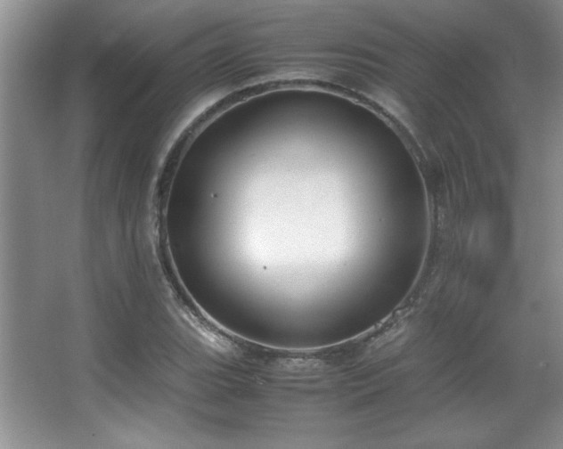 X0000067931119200604131415