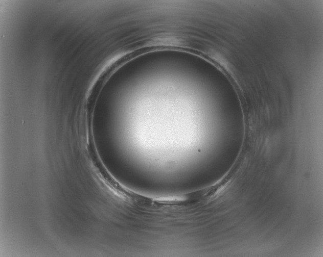 X0000067931123200604131415