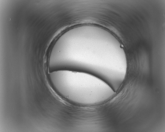 X0000067931126200604131416
