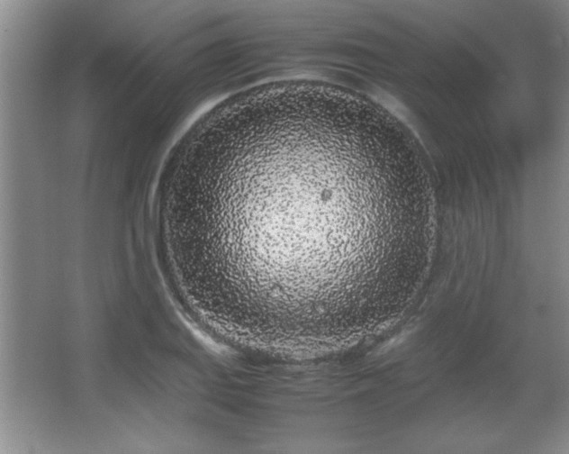X0000067931127200604131416