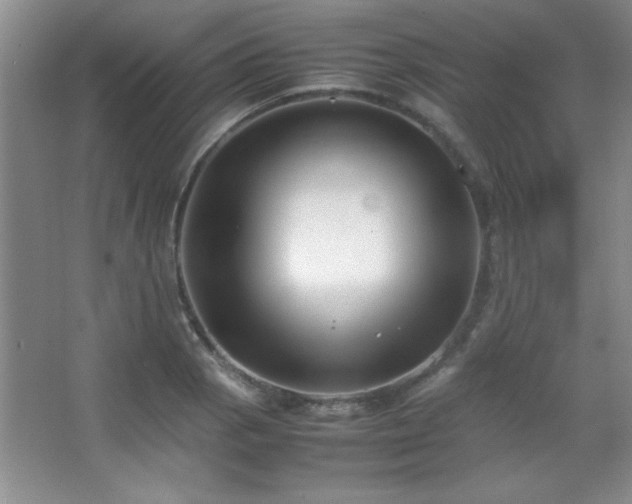 X0000067931129200604131416
