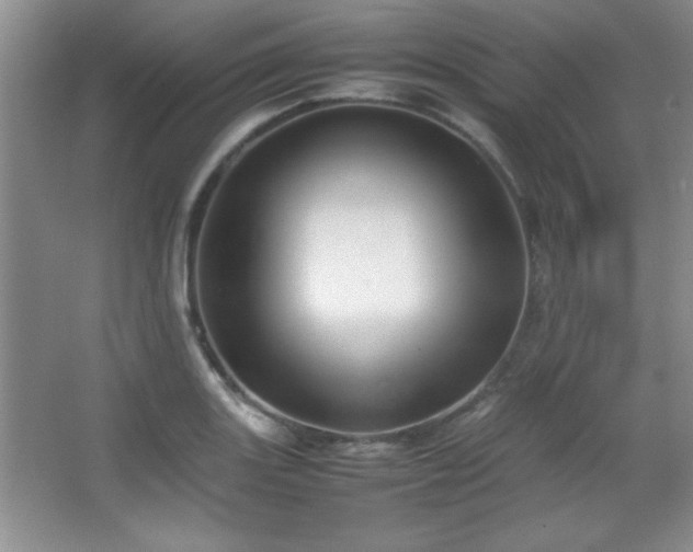 X0000067931131200604131416