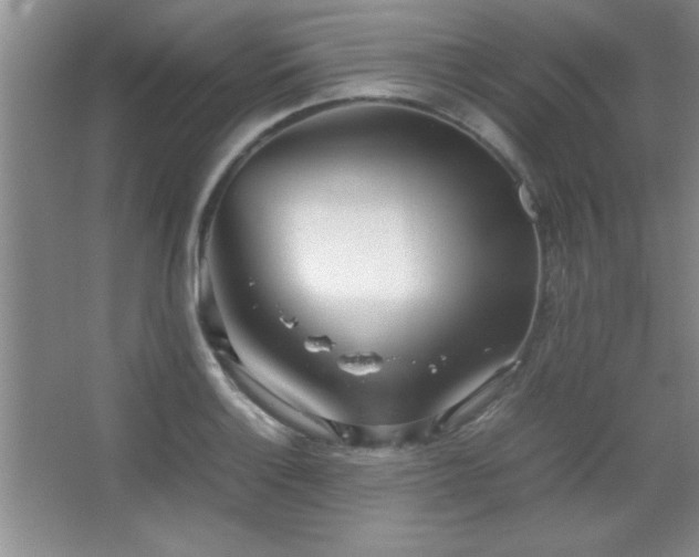 X0000067931132200604131416