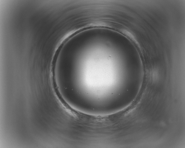X0000067931133200604131416