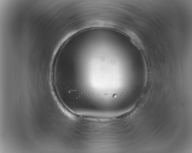 X0000067931136200604131416