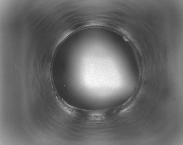 X0000067931137200604131416