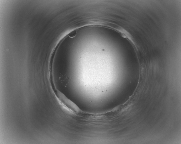 X0000067931143200604131416
