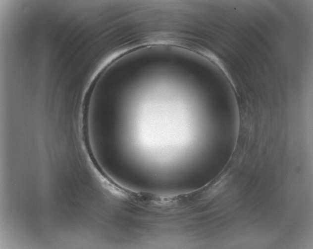 X0000067931147200604131416