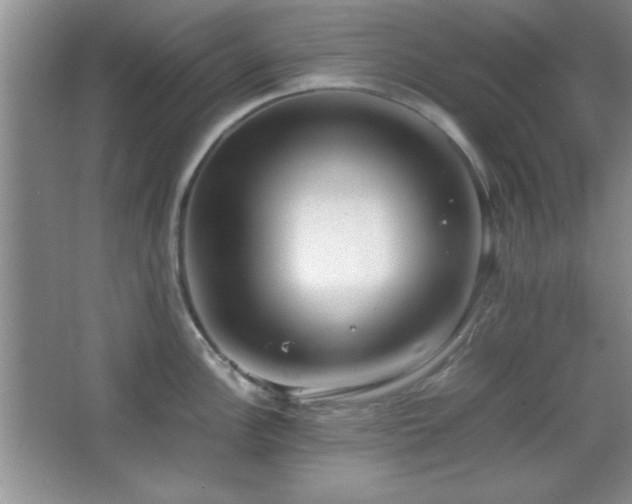 X0000067931148200604131416