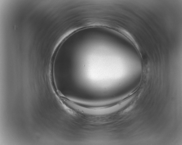 X0000067931149200604131416