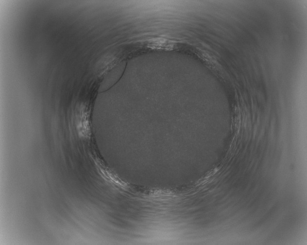 X0000067931154200604131415