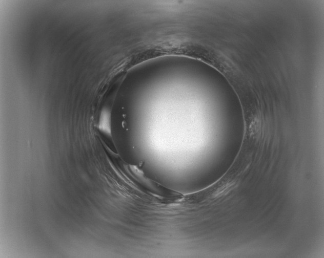 X0000067931156200604131415