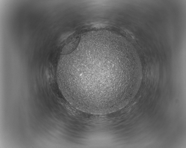 X0000067931158200604131415