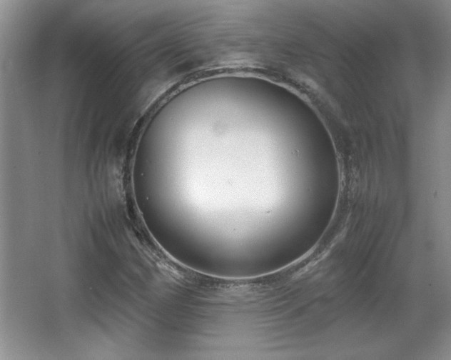 X0000067931162200604131415