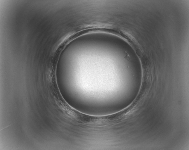 X0000067931163200604131415