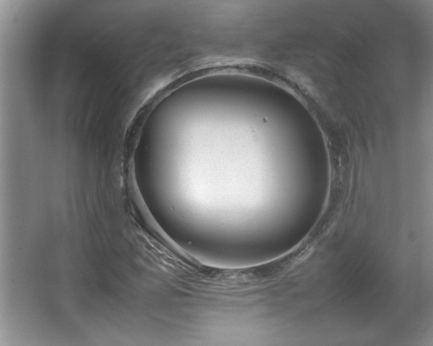 X0000067931165200604131415