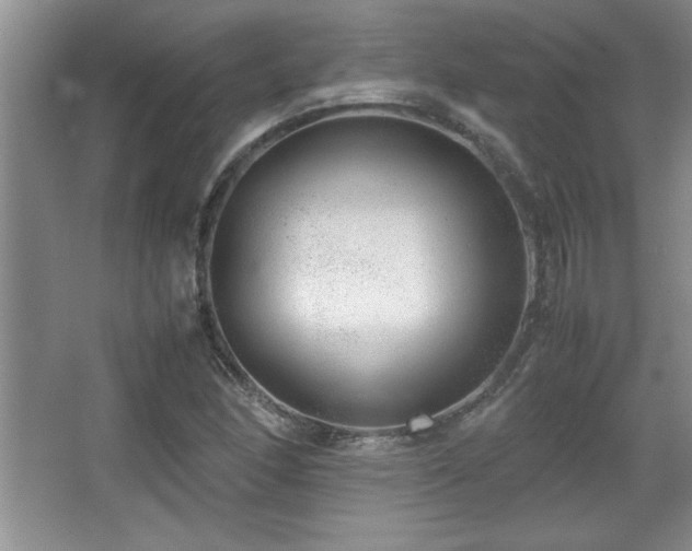 X0000067931166200604131415