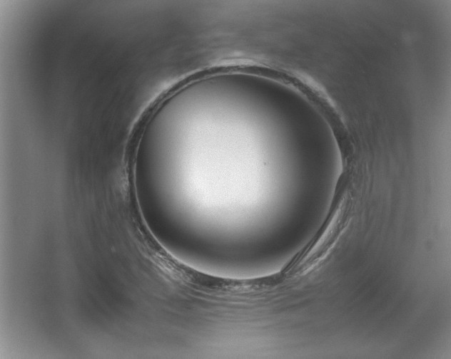 X0000067931167200604131415