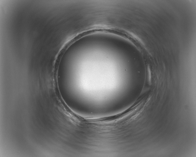 X0000067931168200604131415