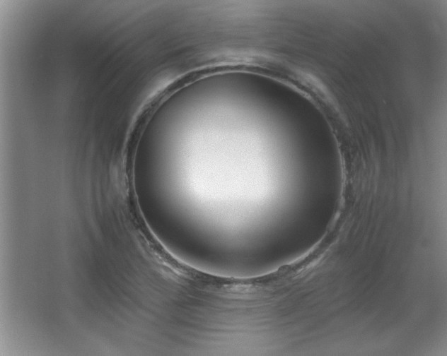 X0000067931172200604131415