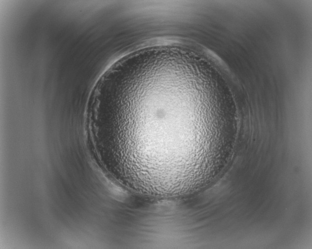 X0000067931178200604131415