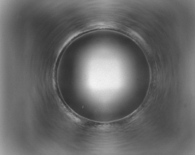 X0000067931182200604131415