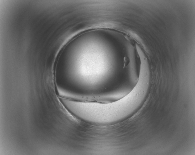 X0000067931184200604131415
