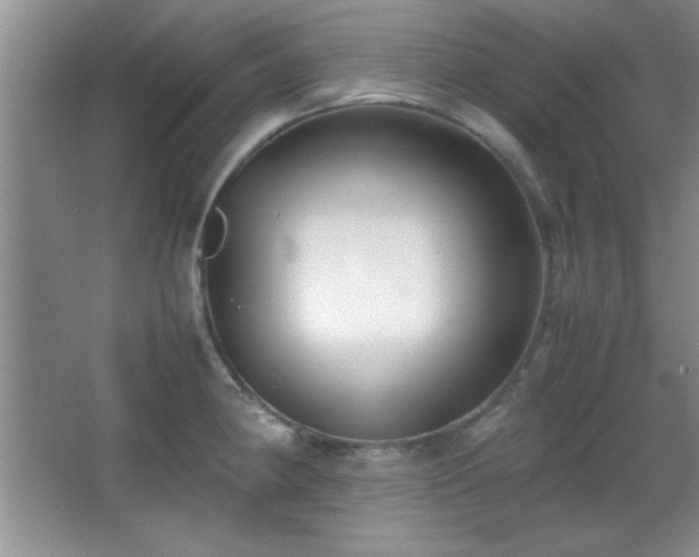 X0000067931190200604131414