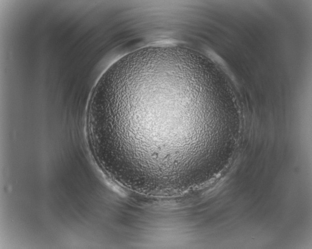 X0000067931194200604131414