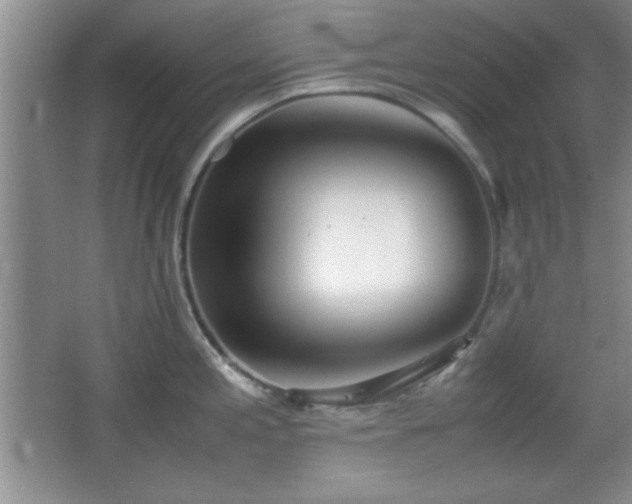 X0000067931197200604131414