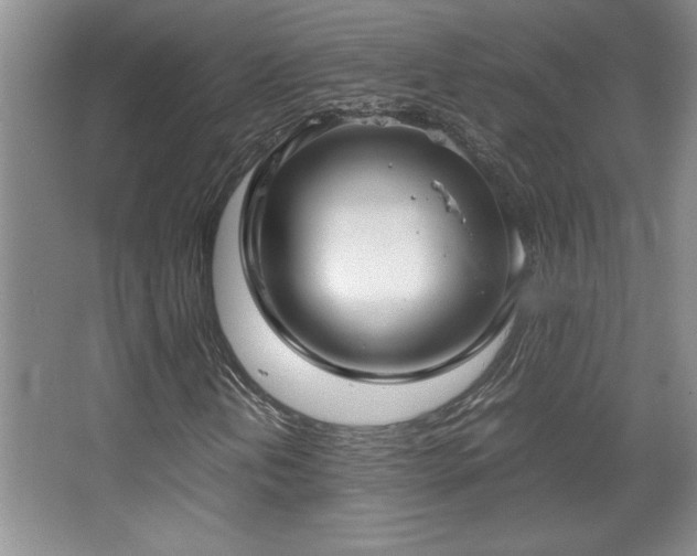X0000067931202200604131414