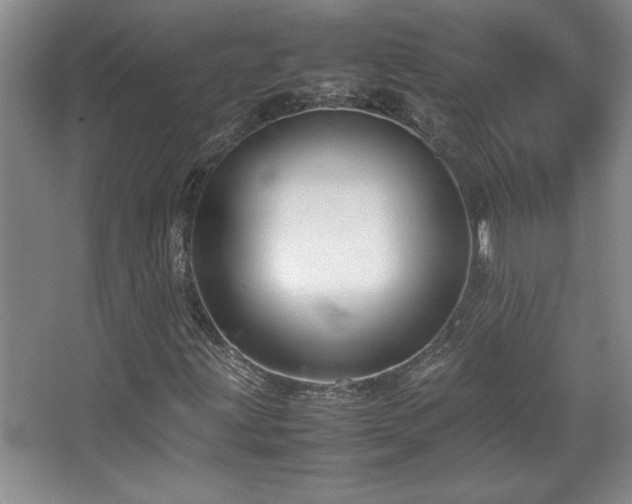 X0000067931203200604131414