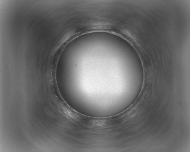 X0000067931211200604131414